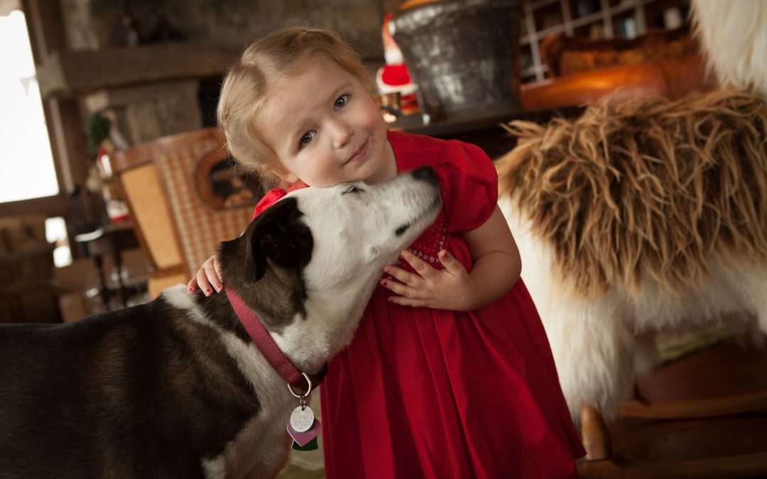 13 Tips for Stress-Free Christmas Photos